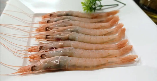 Gambas frescas elegantemente emplatadas en fila sobre bandeja blanca para presentación gourmet.