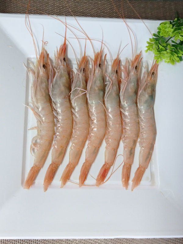 Gamba blanca - Olémarisco