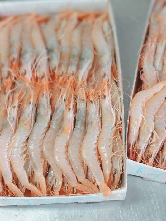 Gamba blanca de Huelva seleccionada a mano