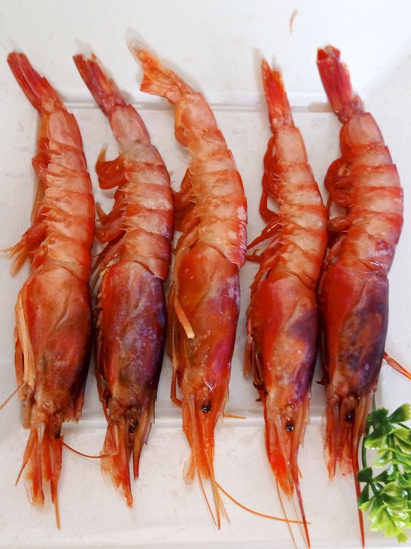 Gamba Roja de Huelva - Alistados N1