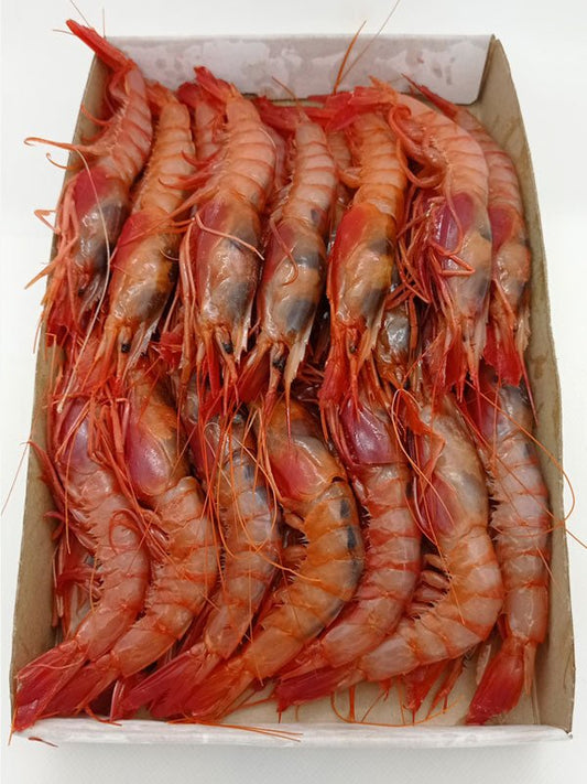 Gamba roja de Huelva - Alistados - Olémarisco