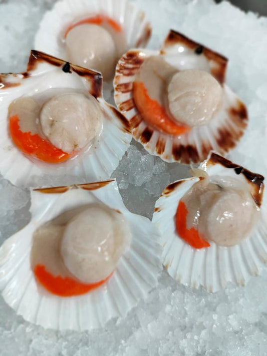 Vieiras al mejor precio