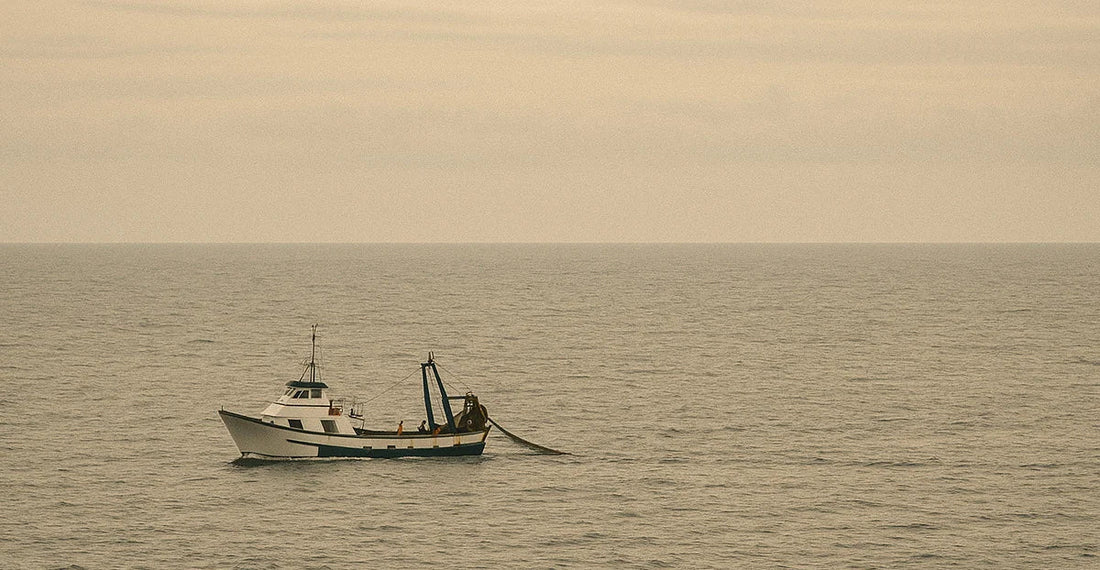 Imagen de la actualidad pesquera en la provincia de Huelva