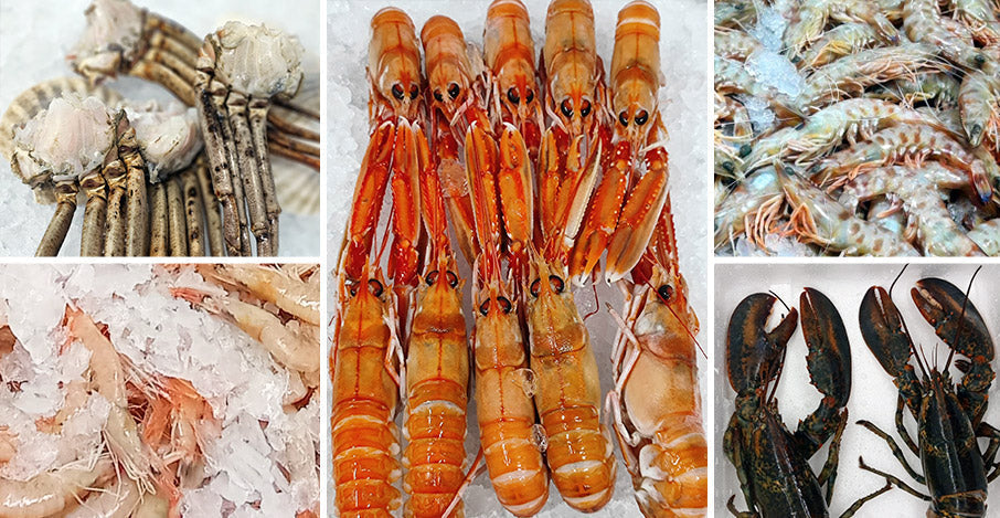 TOP 5 mariscos favoritos de nuestros clientes