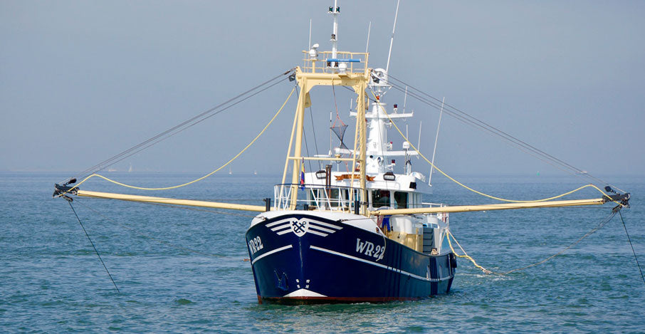 Como se captura el marisco? Principales artes de pesca – Olémarisco