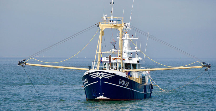 Principales artes de pesca para mariscos