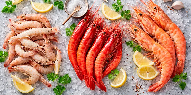 Primer plano de diferentes tipos de camarones frescos colocados sobre hielo, acompañados de rodajas de limón, perejil, sal gruesa y especias.