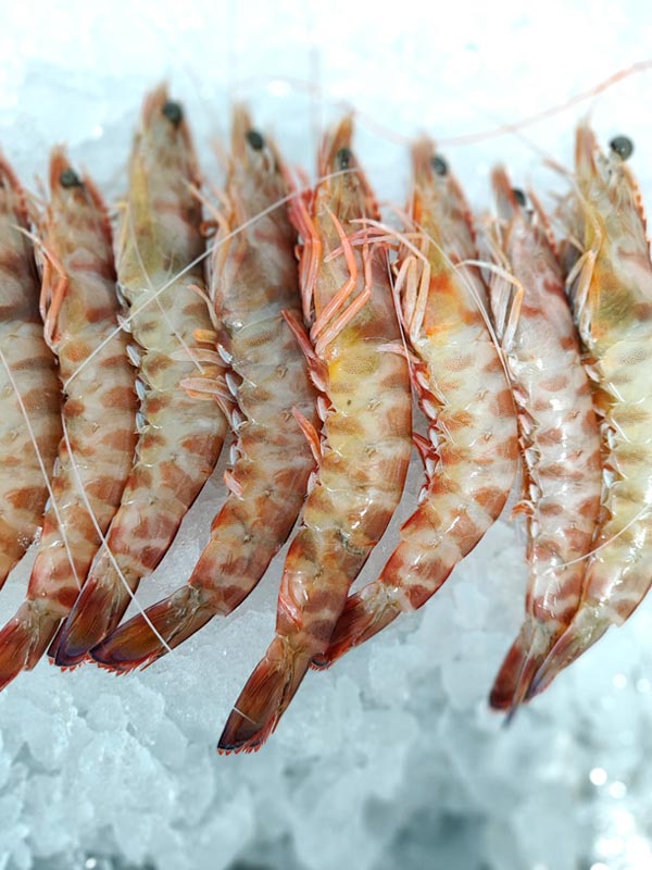 Langostinos