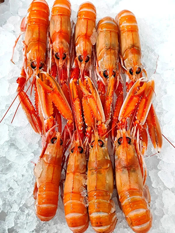 Cigalas
