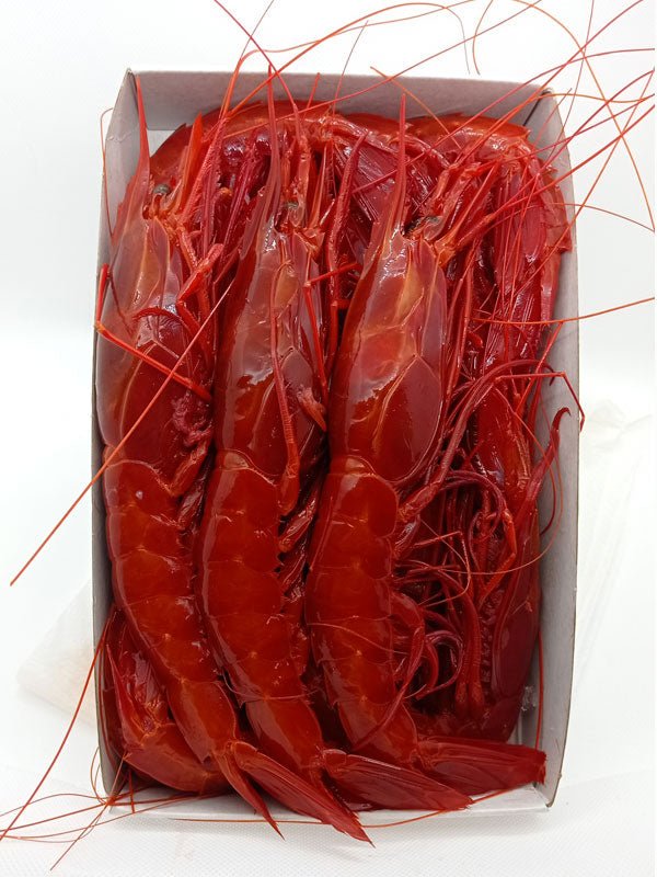 Carabineros