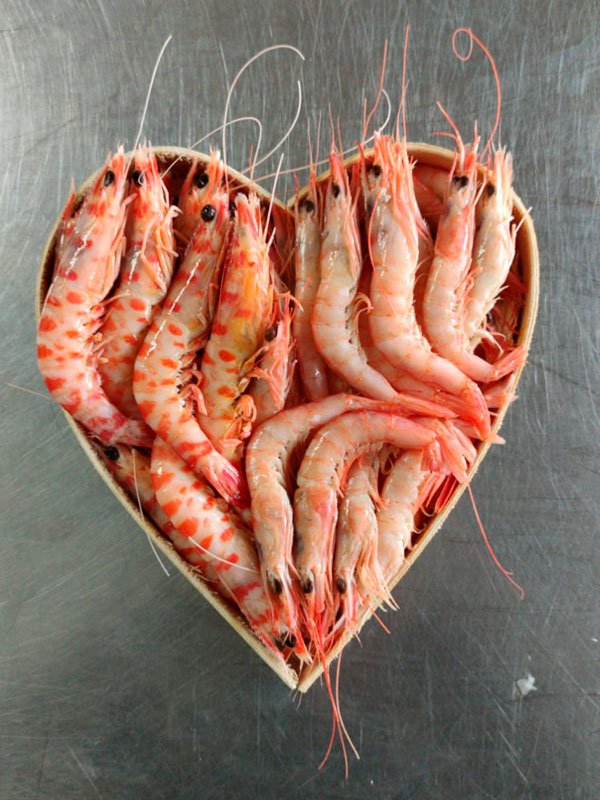 Cesta de marisco con gambas y langostinos tigre - Olémarisco