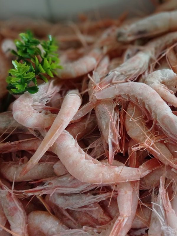Gamba Arrocera
