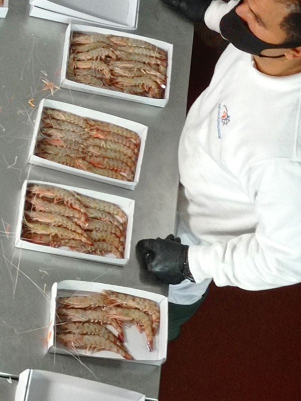 Preparación langostino tigre